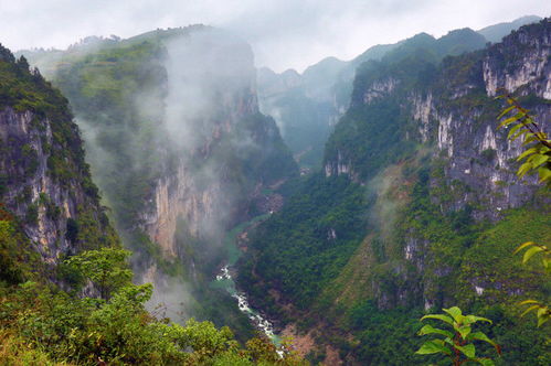 逍遥八仙湖景区：探秘天然氧吧，领略大自然鬼斧神工的绝美风光