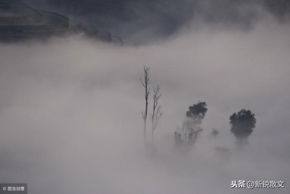 (苍茫之境是什么意思)探寻苍茫之境：深入了解其象征意义和内涵