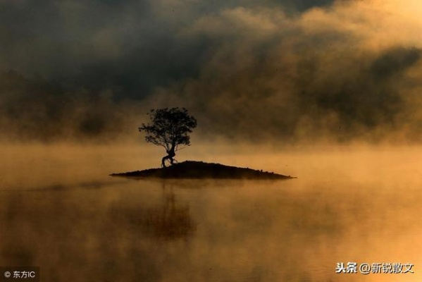 (苍茫之境是什么意思)探寻苍茫之境：深入了解其象征意义和内涵