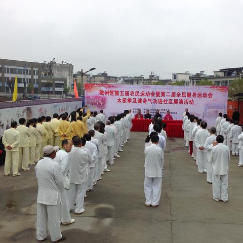 全民武馆游戏中后期阵容推荐：如何搭配角色以提升战斗力与策略性