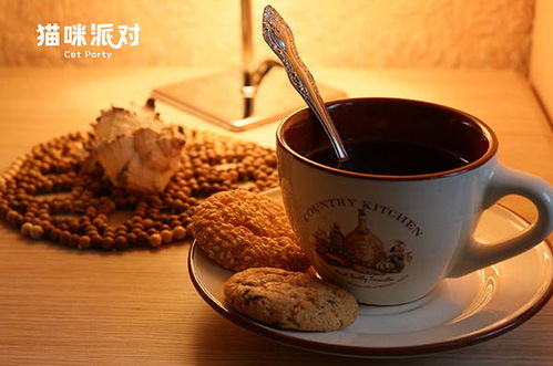 探秘古典韵味：猫语咖啡旧版免费试喝活动，让你回味传统的优质咖啡文化
