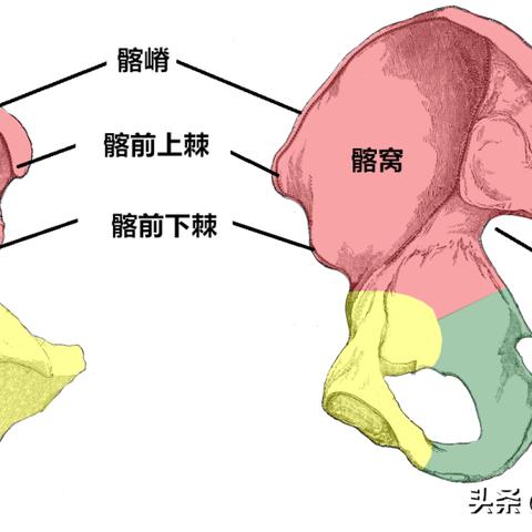 (斗战胜佛是什么职位)斗战胜佛：他到底是上方仙还是下界战将？