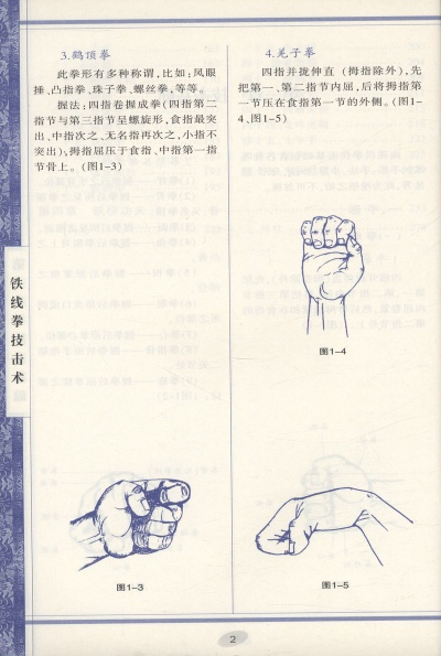 (铁拳功速成练法)揭秘铁拳功高级秘传练法：如何成为武林强者大师