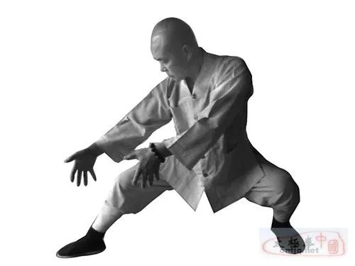 (铁拳功速成练法)揭秘铁拳功高级秘传练法：如何成为武林强者大师