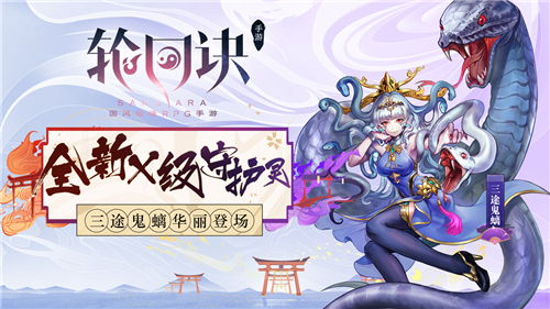 (轮回道是什么意思)轮回道一般能带什么道？探寻轮回道所蕴含的神秘力量