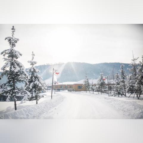 无尽冬日英雄等级排名：探索最强英雄的实力与技巧，助你战胜敌人！