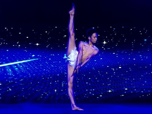 (星梦芭蕾小说叫什么)探索星梦芭蕾游戏的神奇世界，感受优美舞蹈的独特魅力和乐趣