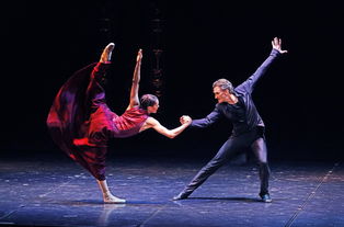 (星梦芭蕾小说叫什么)探索星梦芭蕾游戏的神奇世界，感受优美舞蹈的独特魅力和乐趣