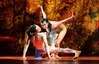 (星梦芭蕾小说叫什么)探索星梦芭蕾游戏的神奇世界，感受优美舞蹈的独特魅力和乐趣