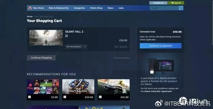 (浣熊steam)浣熊不高兴停服了，还能继续玩吗？无服装的浣熊将何去何从？