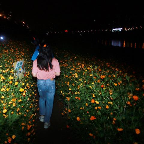 (逍遥天地游分解阅读)在逍遥天地游中感受自然之美，探寻内心深处的乐趣和自由