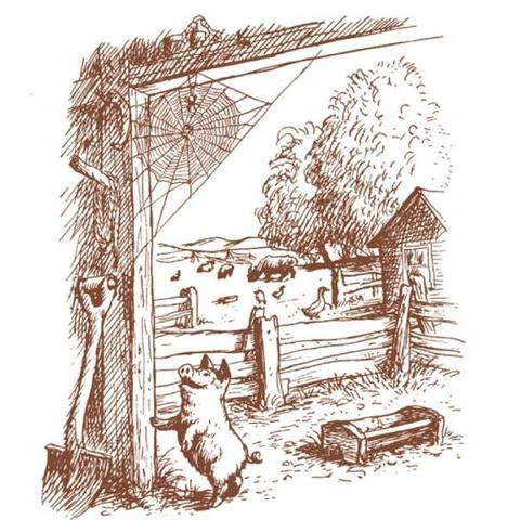 迷雾公式发生了什么？神秘的真相揭开，解密迷雾背后的秘密力量