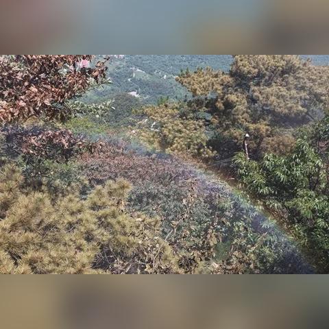 勇夺世界纪录：揭秘中国玩家创下扫雷游戏第一关全球最快通关时间的独特战术