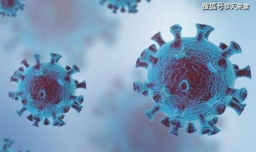 (旅者之憩赚钱攻略)探索新大陆的旅者之憩配方：发现自然之美，寻找心灵安宁