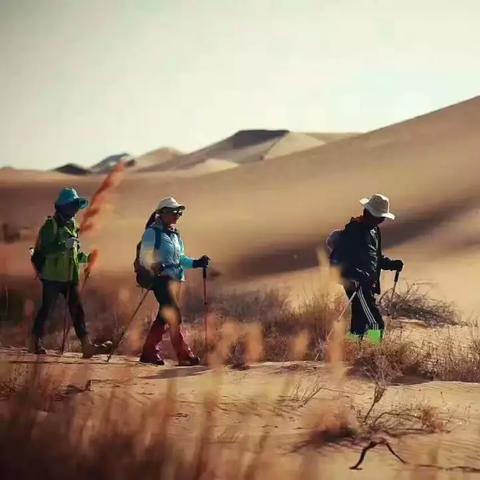 (穿越洪荒一直苟到西游才出世的小说)穿越西游洪荒世界：探索未知的神秘征途