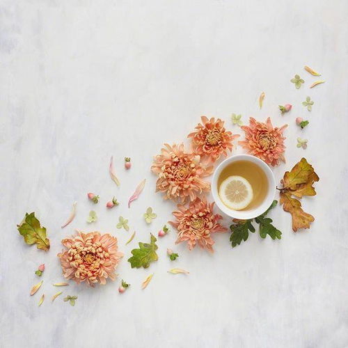 (梦幻之城在哪)探秘梦幻之城国际服：华丽城市的独特魅力和潮流趋势