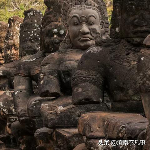 (丛林鸟是什么意思)探秘丛林鸟神秘之境：重返自然的大冒险