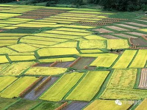 这座城市是否有优质的农田和娱乐设施，是一个值得探究的问题吗？