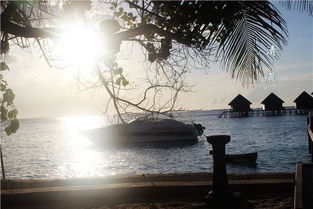 失落的旅者们如何重返天堂梦幻岛：世界顶尖的度假胜地又打开了欢迎之门