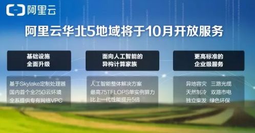 详解行界业务：全方位介绍行界官方网站入口及其提供的专业化服务