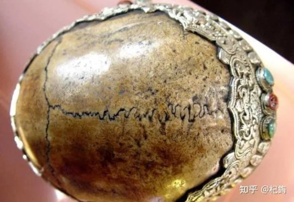 (活取肉莲的过程)神秘法器活体肉莲之画，令人惊叹神奇力量