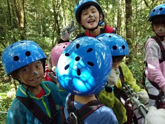 探索生活之旅:以'小小冒险家'歌词为线索揭秘青少年求知探索的心路历程 探索生活之旅:以'小小冒险家'歌词为线索揭秘青少年求知探索的心路历程