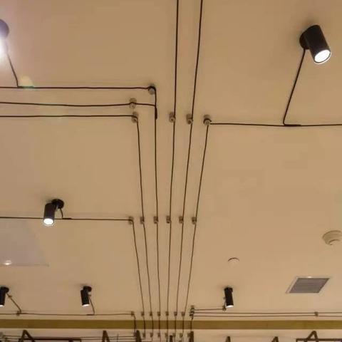 (探秘中药店)探寻中药铺子下载官网的神秘世界