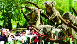 重返童年之旅：探访多元文化动物园的奇特动物与它们的独特习性，体验有趣的动物群落生态探索游