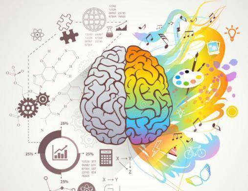 探索当代人生最强大脑答案题目：揭示思维、记忆与创造力的奥秘