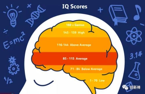 探索当代人生最强大脑答案题目：揭示思维、记忆与创造力的奥秘