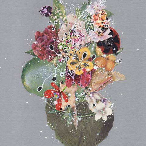 花朵拼拼多少关：挑战你的智力和专注力，来一场刺激的拼图游戏！