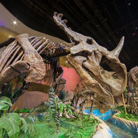 (下载疯狂恐龙)探秘疯狂恐龙小程序版本：带你体验全新的恐龙世界！