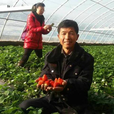 重温经典：木瓜奇迹怀旧版带你回到那个充满温馨与美好的童年时光