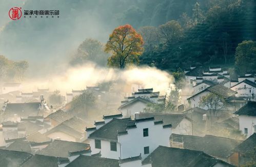 探索古代书院模拟器中的折相思,领略诗词之美与人文情怀的交融 探索古代书院模拟器中的折相思,领略诗词之美与人文情怀的交融