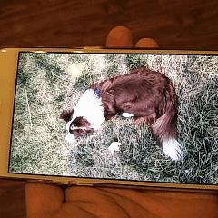 星轨之上小程序后期最强阵容全面解析:如何搭配出最具威力的角色组合 星轨之上小程序后期最强阵容全面解析:如何搭配出最具威力的角色组合