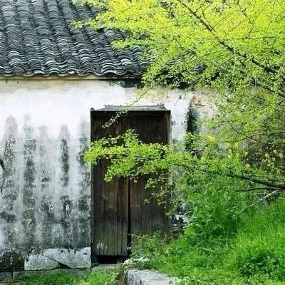 (古风的经营类游戏)探寻中国古风田园乐趣：推荐最佳类经营游戏