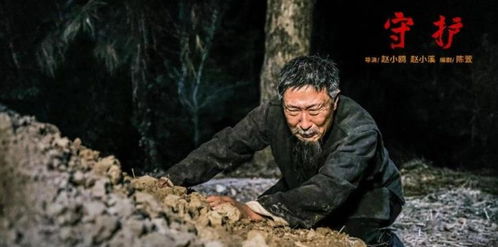 (守护人剧情50集介绍)电视剧《守护人》剧情介绍大揭秘，故事情节扣人心弦