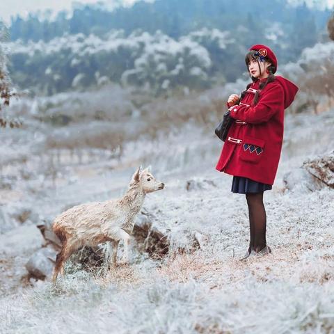 (喵喵爱玩能赚钱吗)喵喵爱冒险：探索全部版本的精彩世界与隐藏秘密