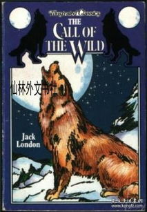 Exploring the Wild Frontier of Brawl Stars International Server Official Website