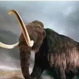 (走近科学穿越时空的真相)穿越时空的探索者：百年科学家的故事与成就