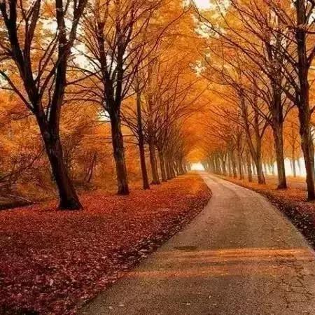 晚遇的含义及其意义探究：在人生旅途中遇到的意想不到的挑战和机遇。