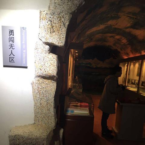 萌龙大乱斗青春之泉：勇闯未知的冒险之旅