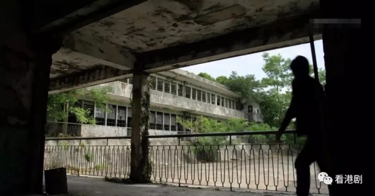 (被遗弃的中学讲的是什么故事)被遗弃的中学：荒废校园背后的故事，告诉我们什么？