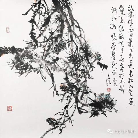 (交响辉映)交响星辉怎么没了？追溯失落的辉煌之路与未来的重生