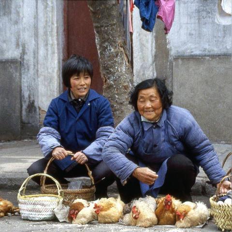 疾风街头官方版本：探讨街头文化的演变与影响，解析最真实的城市生活风貌