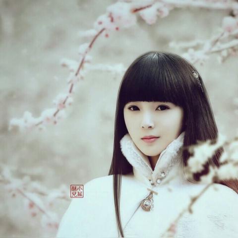 (前方有妖气手游)前方有妖手游：一个充满玄幻世界的冒险之旅，等你来战