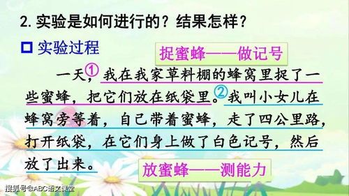 (小蜜蜂朗读)小蜜蜂事件切勿再演变为另一场秦朗事件
