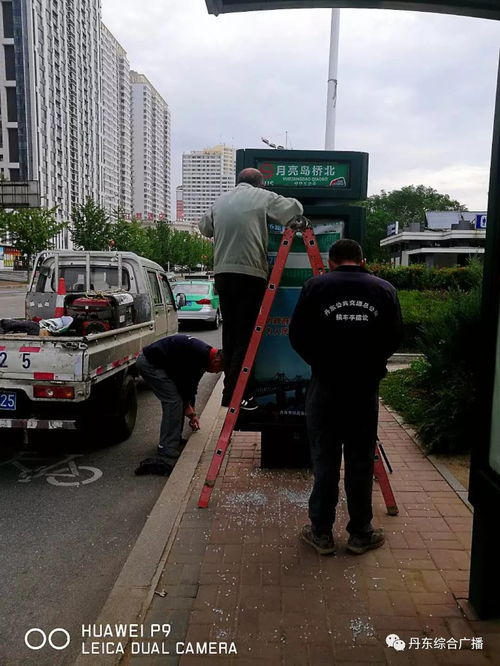 使用收费站模拟器OGM，体验真实的道路收费管理，让您感受驾驶乐趣和职业挑战的完美结合！