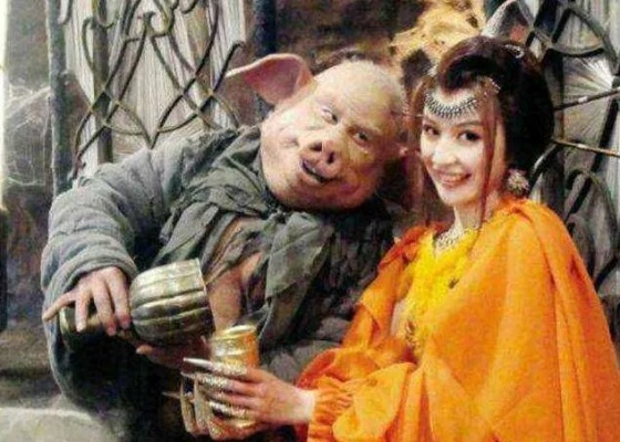 (猪八戒的名字是)猪八戒的名字，沧海一粟，齐天大圣孙悟空的得力帮手