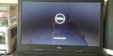 解决Dell电脑总是自动关机问题的有效方法与技巧，提升你的使用体验